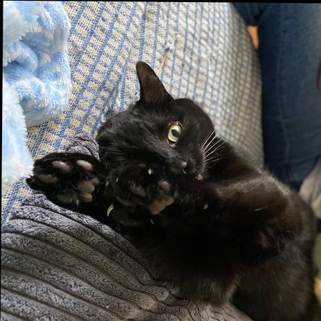 Oakley OnlyFans Sex Leak