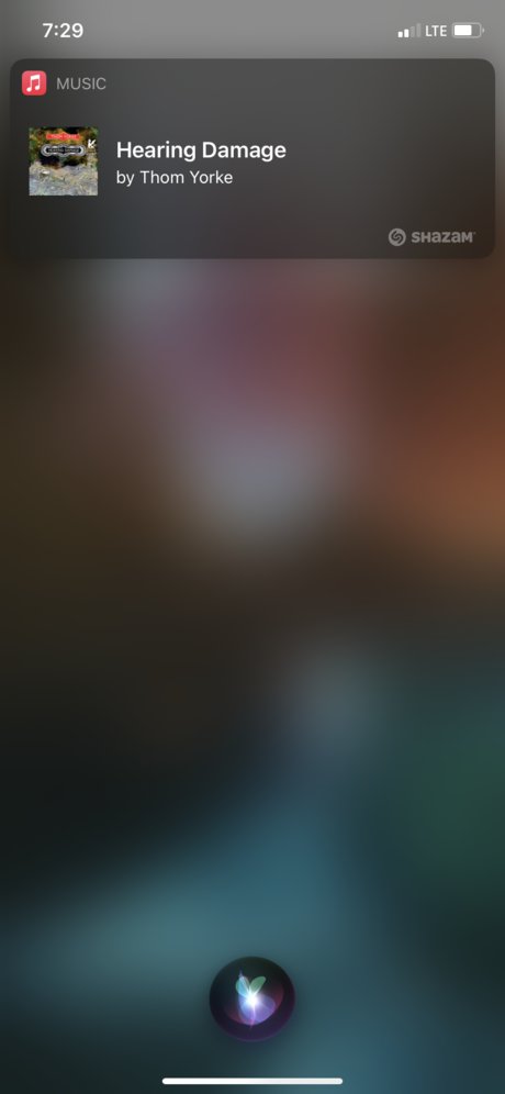 Xander C OnlyFans nackt