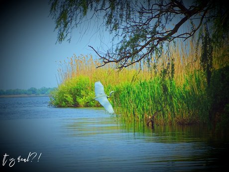 It is real_ OnlyFans Nackt Leak