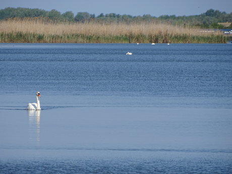 It is real_ OnlyFans geleakt