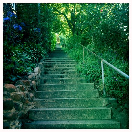 Brogan Daly OnlyFans-Creator