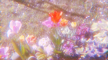 Tiffany Riker OnlyFans Star