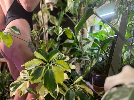 plantfeetpics Nacktbilder von OnlyFans geleakt