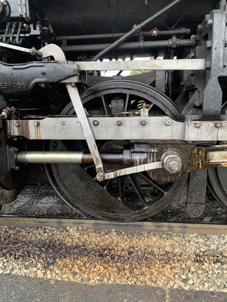 Casey Bell OnlyFans Model Fotos