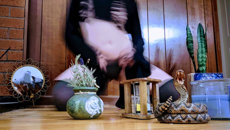 Fae Amore OnlyFans-Bilder