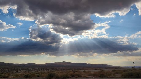 Papi Paul OnlyFans-Leaks