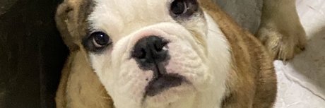 Paulo Teixeira Leaked OnlyFans Sex