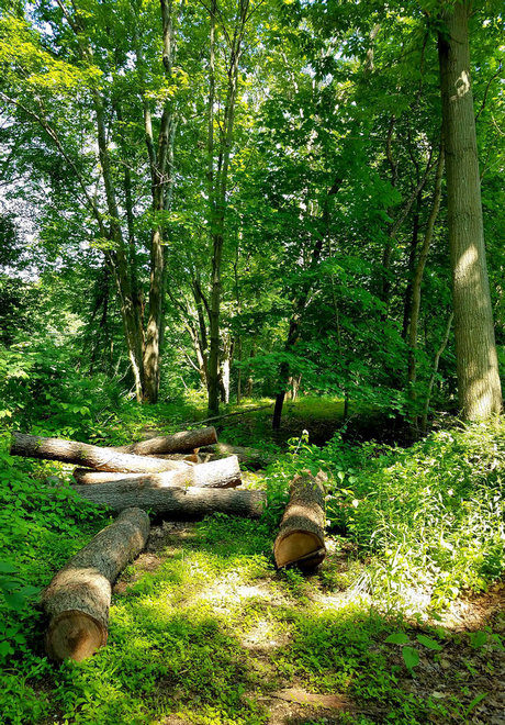 Onyx Rhyven s Page Nackt OnlyFans