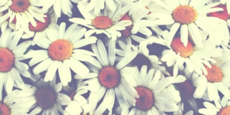 Aria M OnlyFans Fotos