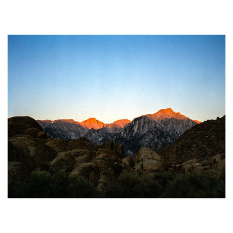 Matt Wolfe OnlyFans Nacktbilder