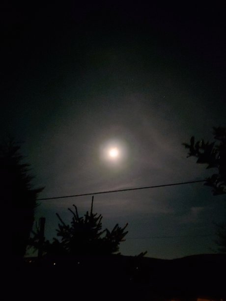 Tribs OnlyFans Modelfoto