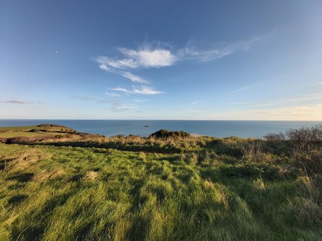 Tribs OnlyFans-Model