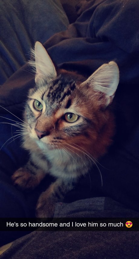 Shakhiaya Cole Leaks von OnlyFans