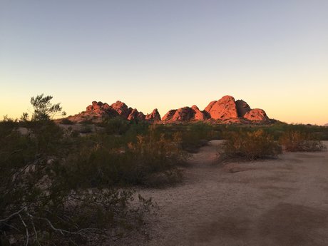 Dana Williams Leaked OnlyFans