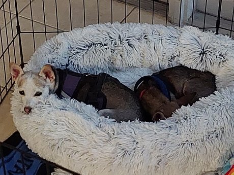 Pica amp amp Kelly OnlyFans kostenlos geleakt