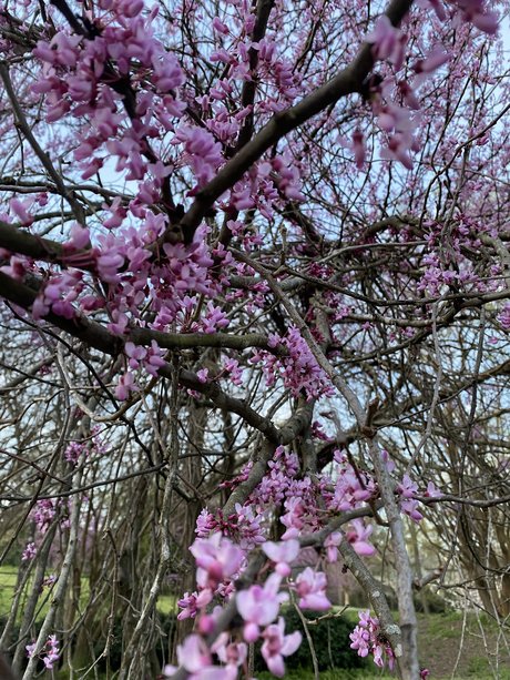 thrashersfan13 Sexy OnlyFans