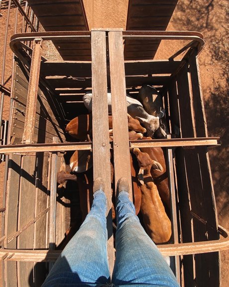 Naughtycowgirl Nackt