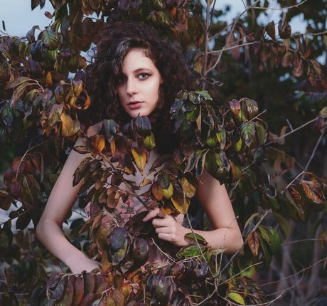 Nico Aro OnlyFans Pornografie