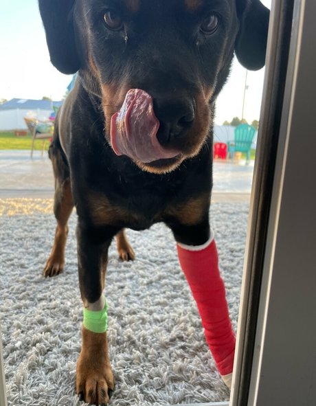 mfccammodel OnlyFans Nacktbilder