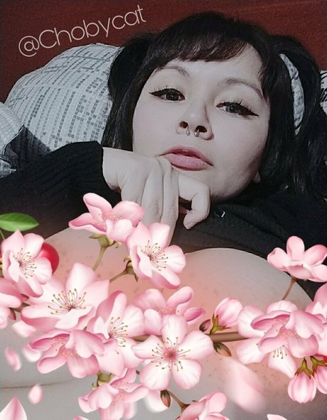 chobycat OnlyFans nackt