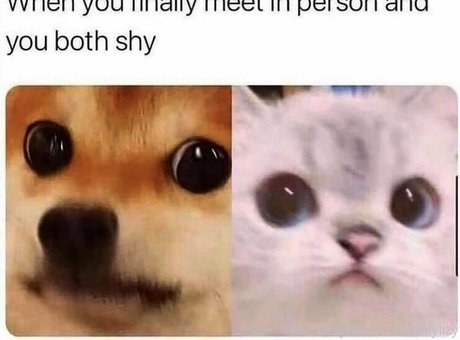 brownielizy OnlyFans Nackt Content