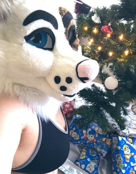 saoirsemutt OnlyFans Nacktbilder