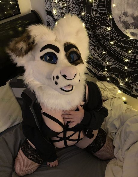 saoirsemutt OnlyFans Porn