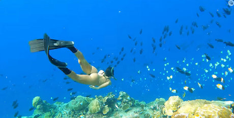 Victoria Ferreira OnlyFans Model Bilder