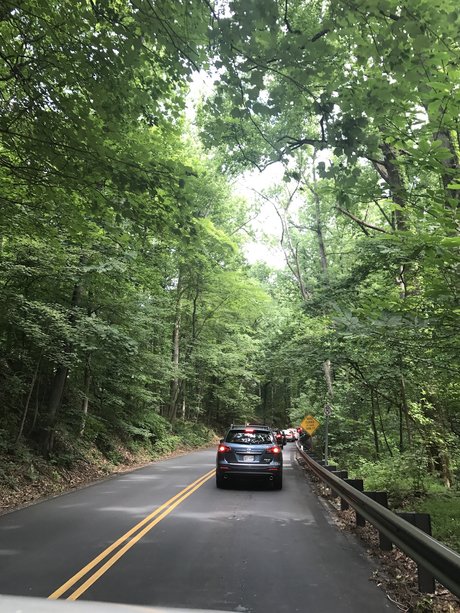 Fun fun OnlyFans Nackt