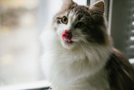 Mary Anne KYC Nackt geleakt OnlyFans