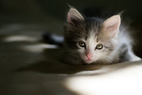 Mary Anne KYC OnlyFans kostenlos