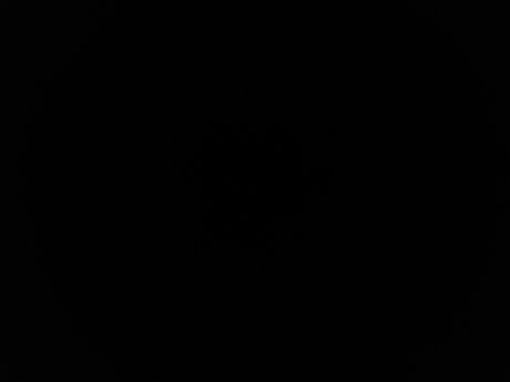 Get Money Nacktbilder von OnlyFans geleakt