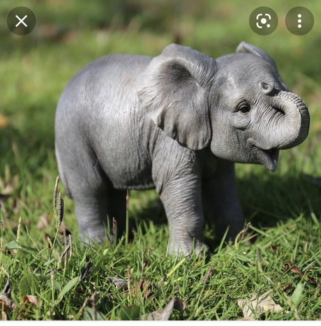 racheal stewart OnlyFans OnlyFans