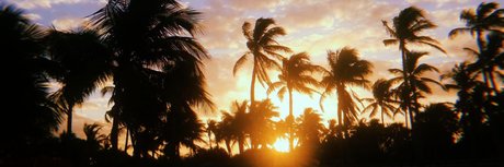 SSBBW Celestica backup Oben ohne OnlyFans