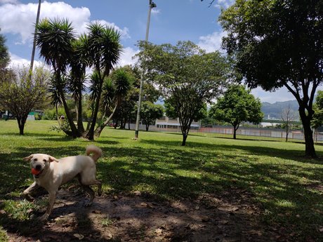 Juesva Bilder OnlyFans