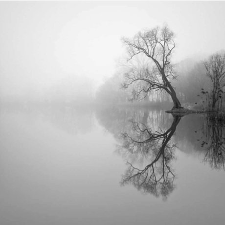 Darlingitsyou_ Leaked OnlyFans