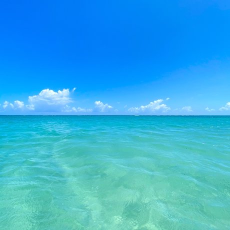 Mr goodbearxxx Neue geleakte OnlyFans-Inhalte