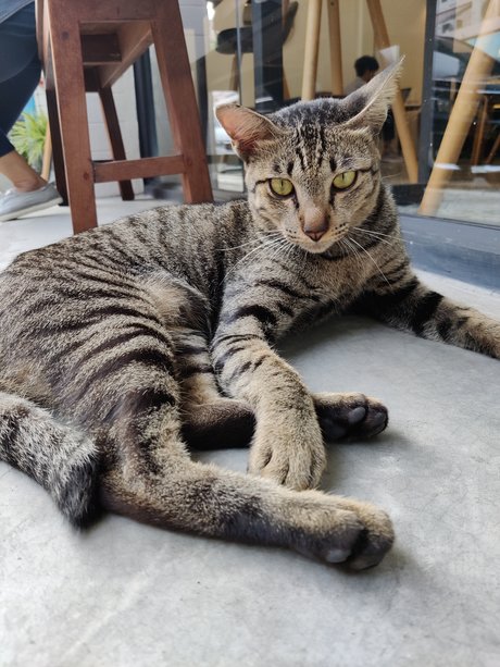 Manussapohn Mook OnlyFans Pornografie gratis