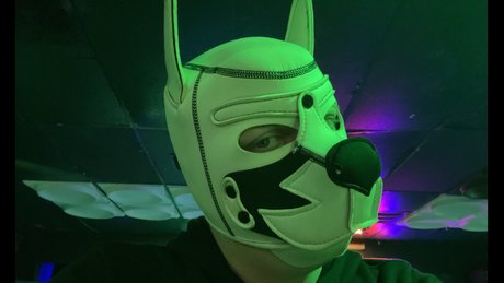 Pup Dax Nacktpornos von OnlyFans geleakt