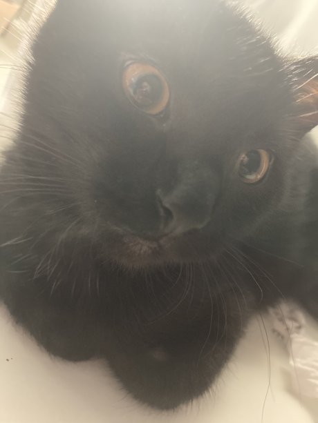 Selene Night Leaked OnlyFans Pornografie