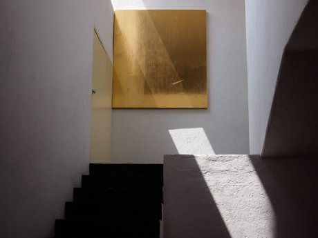 SavagePapillon OnlyFans Leaks Sex