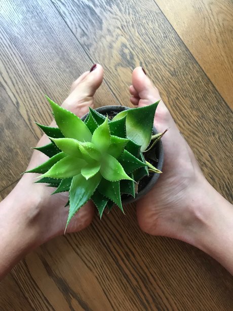 Howtosqu rt Nacktporno OnlyFans