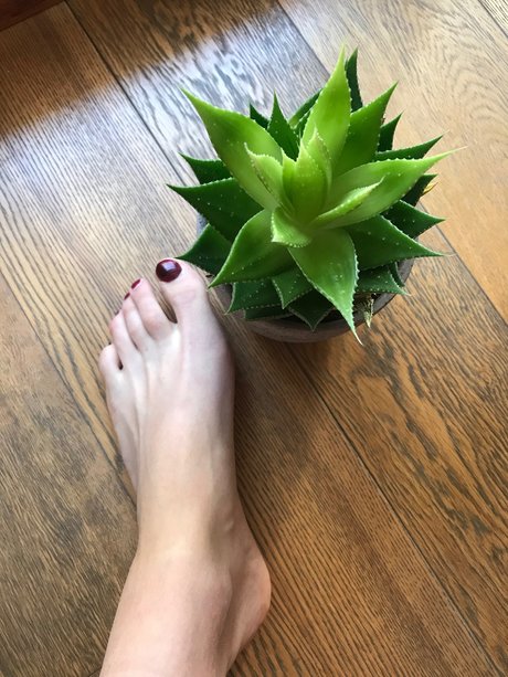 Howtosqu rt OnlyFans Nacktbilder geleakt