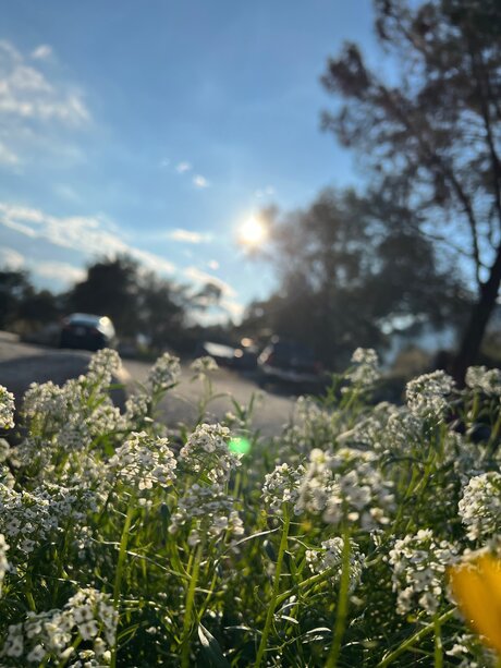 Marie C_ OnlyFans Inhalte