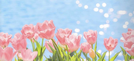 hol_ OnlyFans Leaked