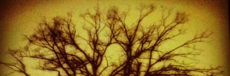 Jesse Prather OnlyFans geleakte Pornografie