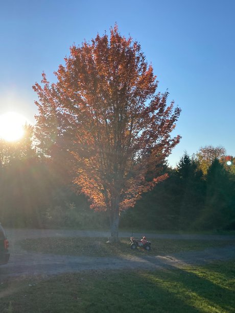 Ollyoop314 OnlyFans Model Fotos