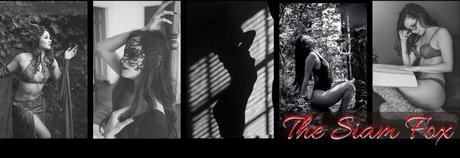 The Siam Fox Nacktbilder-Leaks von OnlyFans