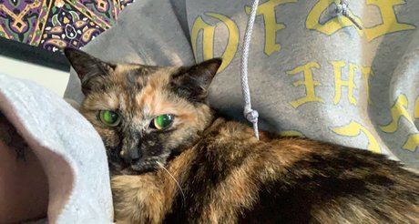 Wessy Wes Leaks von Nacktbildern auf OnlyFans