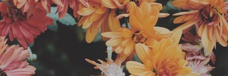 Abdul El Sahili_ OnlyFans Inhalte